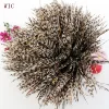 2018 cheap china wholesale clothing rooster feather good looking plume feather