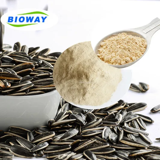 белок в семечках подсолнуха. белок в семечках подсолнуха. белок в семечках подсолнуха. белок в семечках подсолнуха. белок подсолнечника.