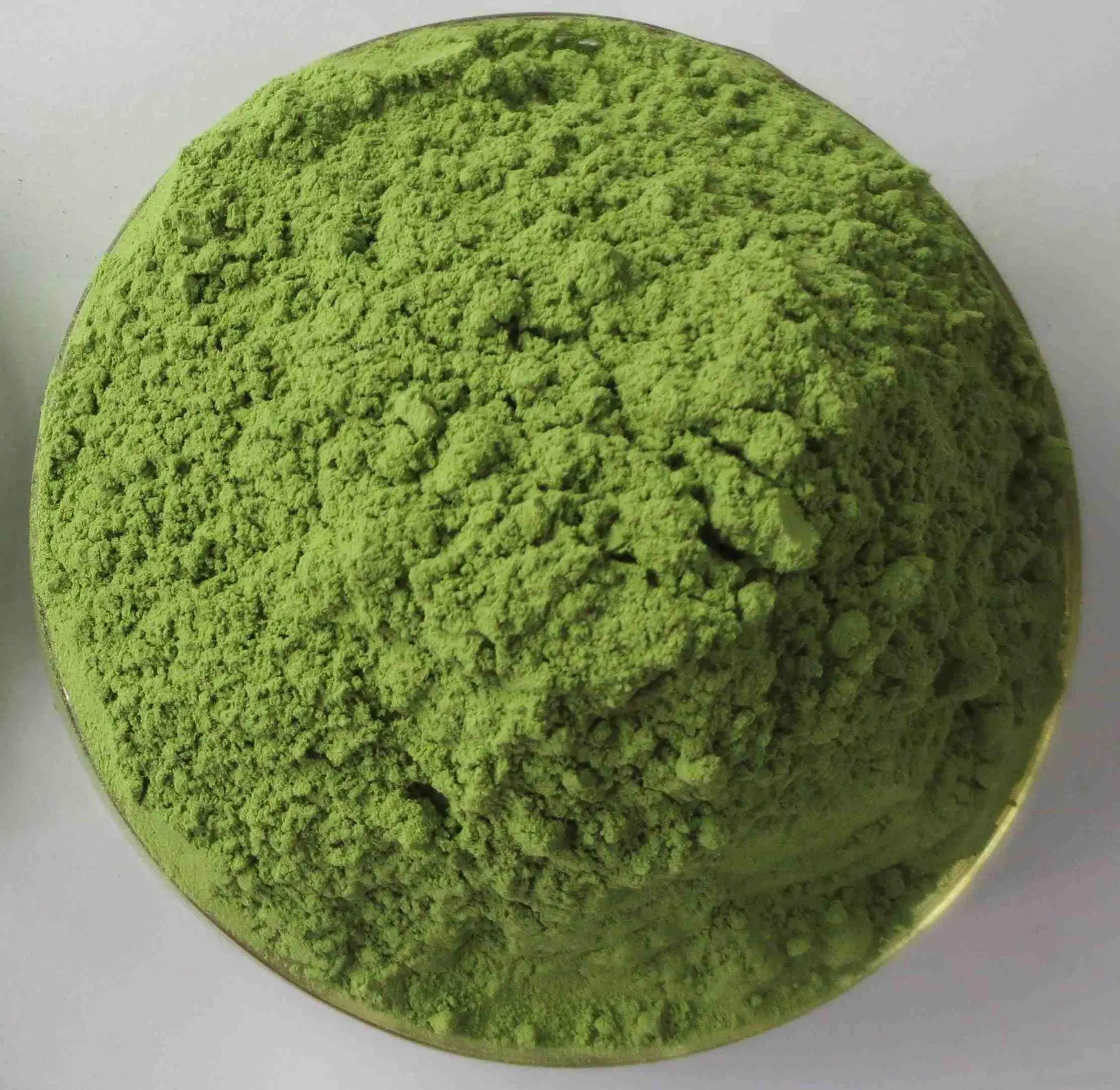 natural wheat sprout extract/ wheat sprout extract powder 10:1