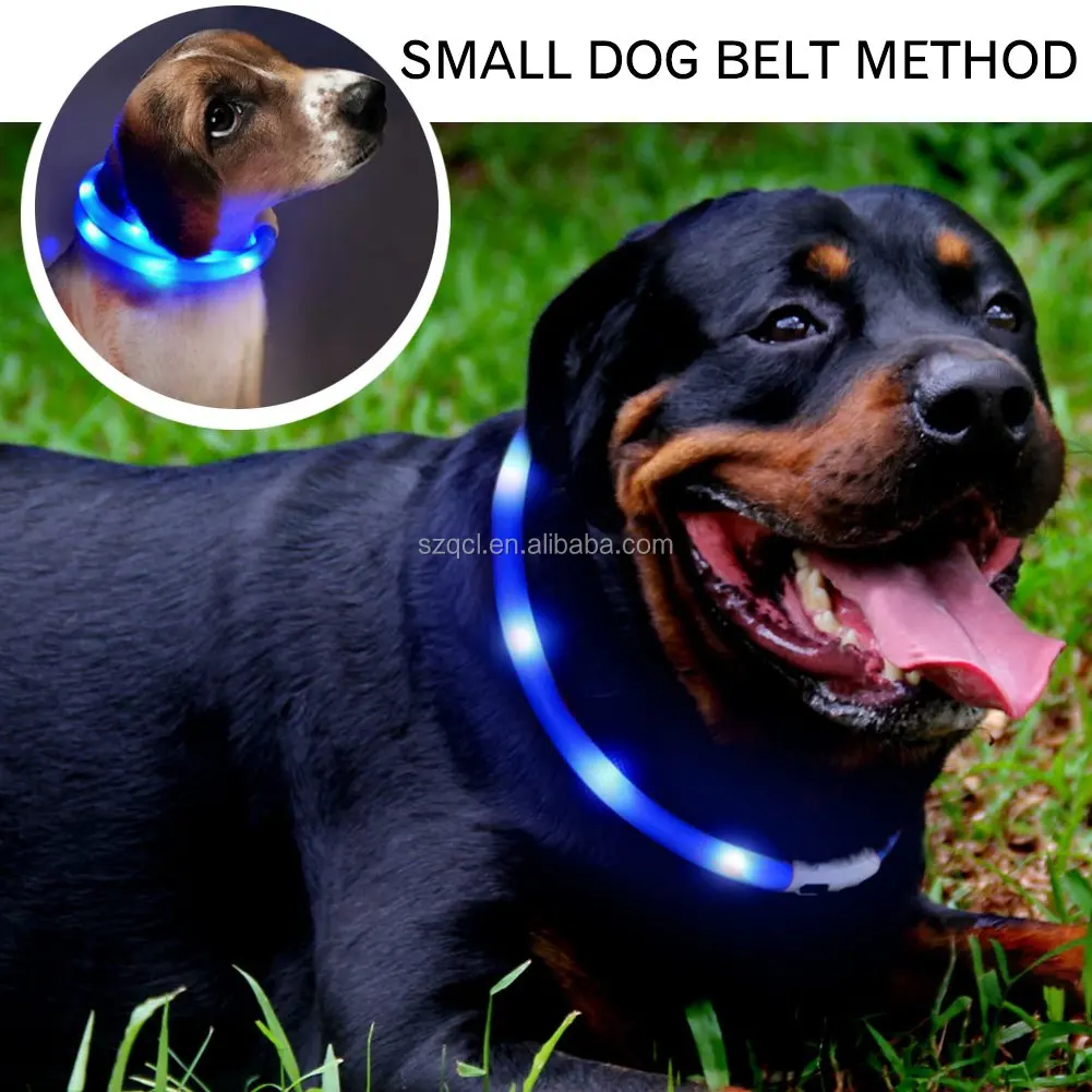 LED Dog Collar (2)b.jpg