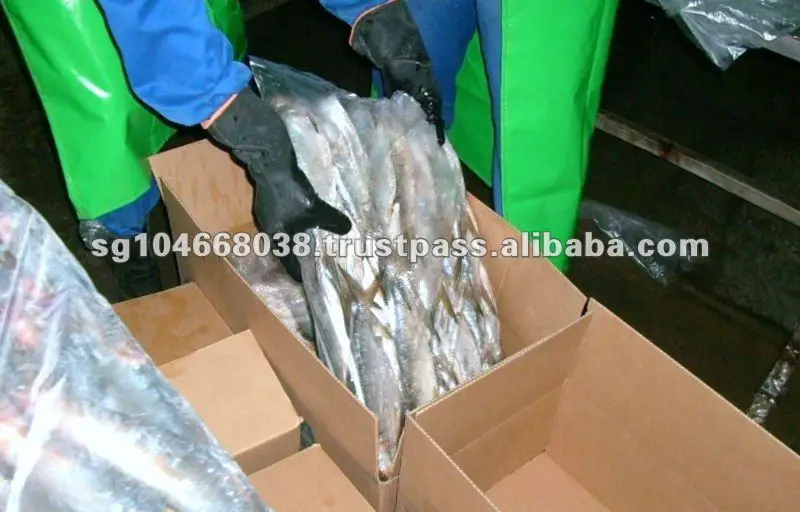 15 Puesta en carton.jpg