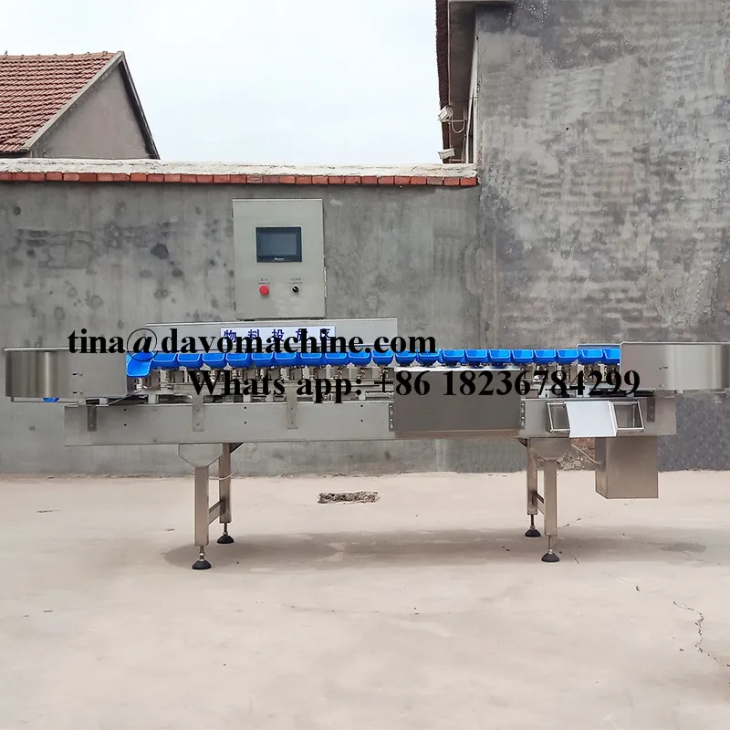 sorting machine 14.jpg