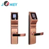 Security biometric face recognition door lock made in China with remote control function