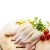 Frozen baby squid with high quality