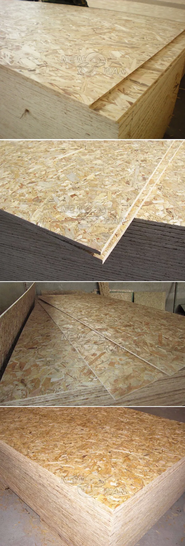 Newswan Group / 12mm Osb Board Manufacturers Buy Osb Board