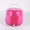 Hot Car travel Smart Electric National 5 layers design non stick microwave Mini plastic rice cooker 1.3L DC 12V 24V