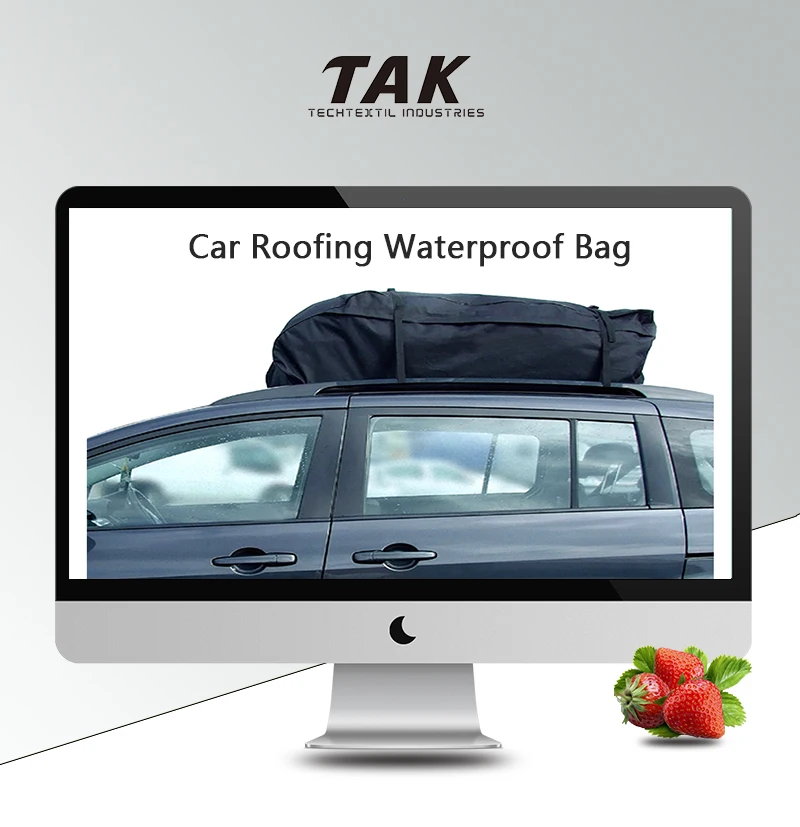 roof cargo bag no rack