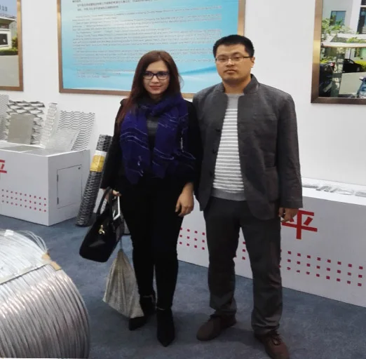 Hot Selling Metal Galvanized Lron Wire Mesh Commercial Galvanized Steel Welded Galvanized Wire