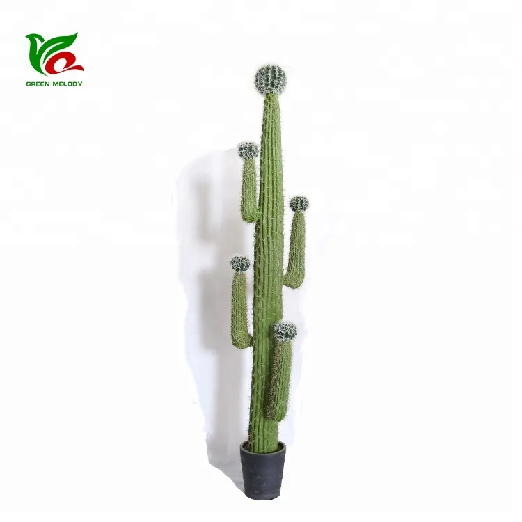 Large Home Furnishing Decoration Realistic 225cm Mexico Cactus