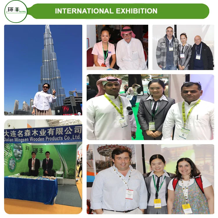 food grade ice cream scoop