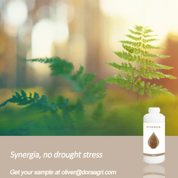 Synergia 2