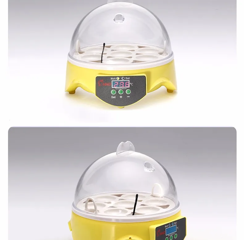 New design 7 eggs incubator CE approved automatic professional education montessori toy