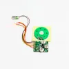 Factory Custom mini voice sound chips for stuffed animals motion sensor sound module