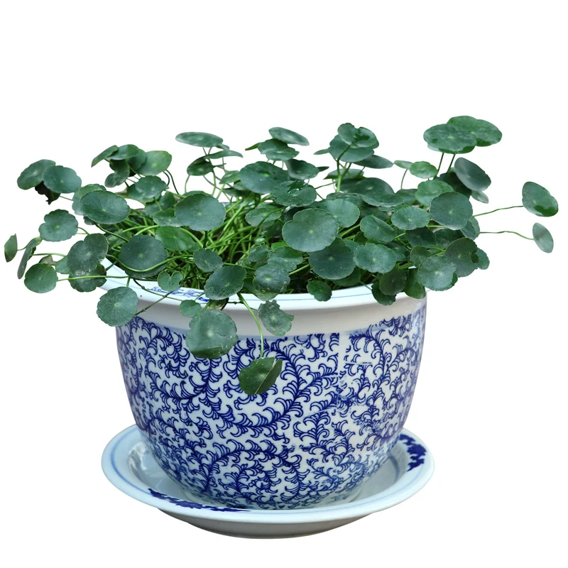 Wholesale Chinese Cheap Porcelain Ceramic Flower Pots For Garden