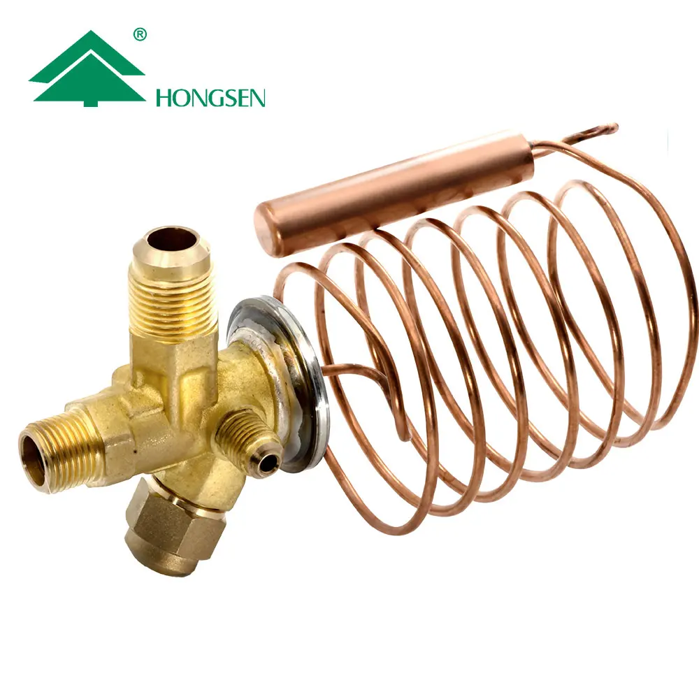 Hongsen Thermal Expansion Valve And R134a Cooling Expansion Valve Buy