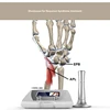 Shockwave therapy machine for piriformis muscle sciatic trouble physical problem