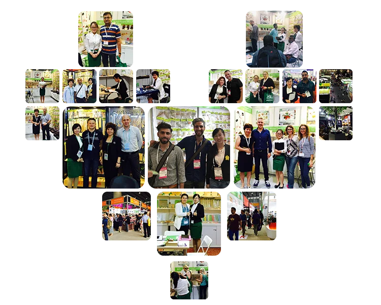 HYWOODSTICK Exhibition