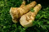 Pure Horseradish Root Extract P.e.