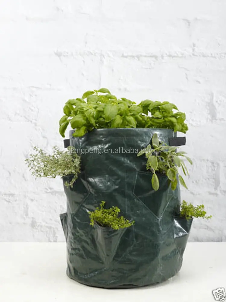 Most Popular Pe Herb Grow Bag With 8 Pockets Buy Growing Strawberry