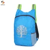 Folding Backpack Hiking Camping Bag Ultra Lighting Outdoor Sport Backpack Waterproof Foldable Travel Backpack