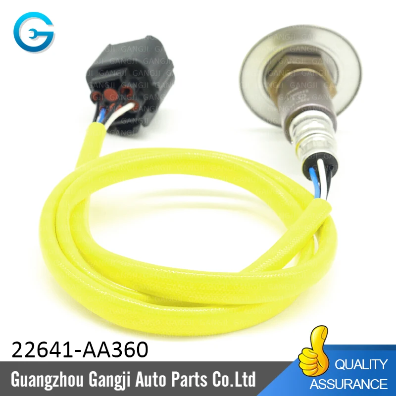 22641-AA360--6.jpg