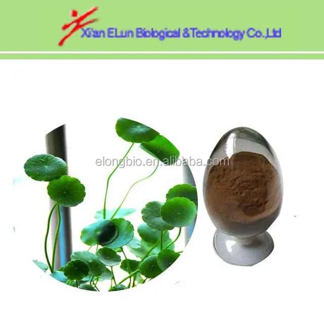Factory supply kinds spec Centella Asiatica Gotu Kola Extract