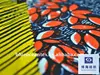 African Wax Prints Fabric 20X20/60X60 140GSM 4OZ Fabric Factory In Huzhou City,Zhejiang
