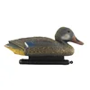 Plastic Floating lucky duck decoy predator call For Hunting