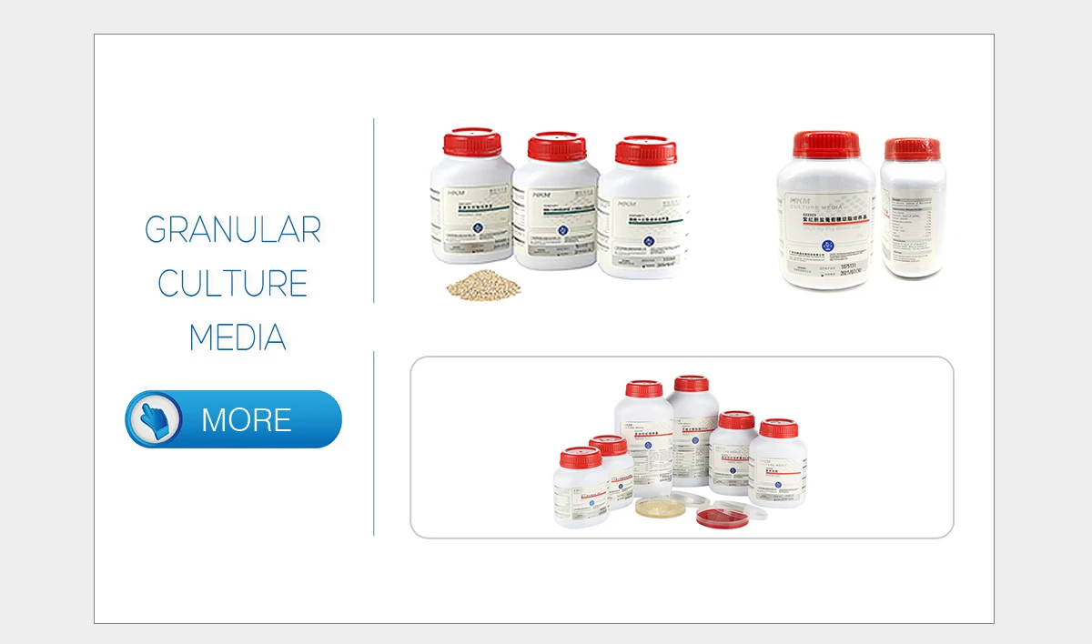 Guangdong Huankai Microbial Sci. & Tech. Co., Ltd. - Microbial ...
