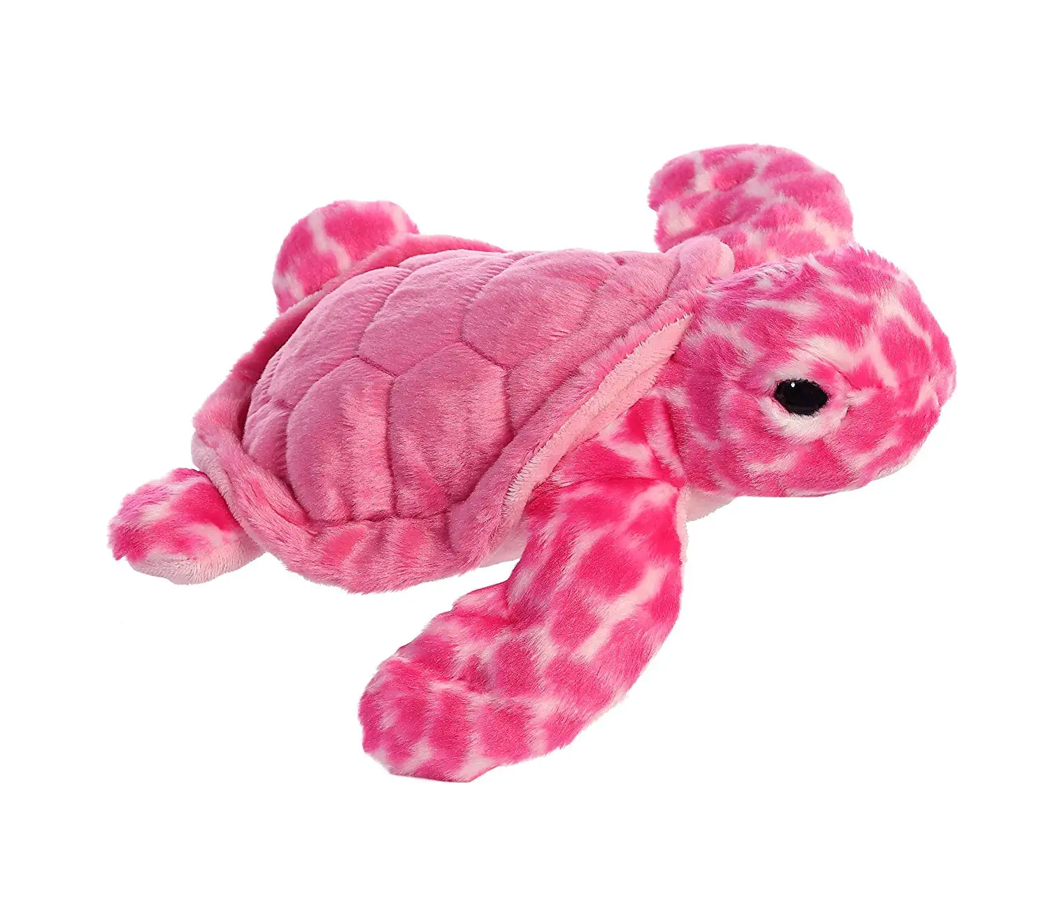 aurora plush turtle