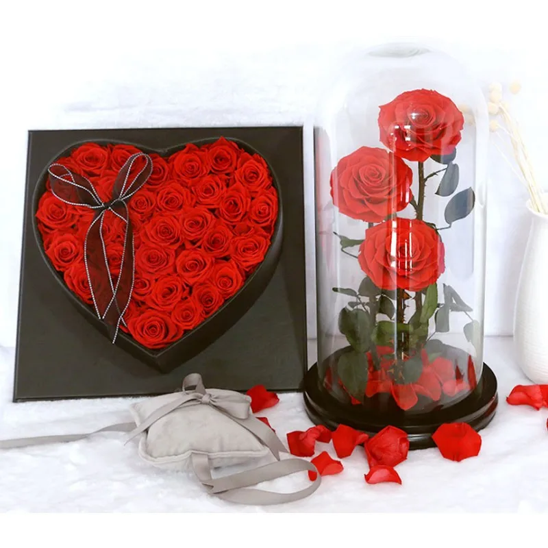 Fashionable Lagurus Ovatus The Bunny Rabbit Tail Grass Buy Rabbit