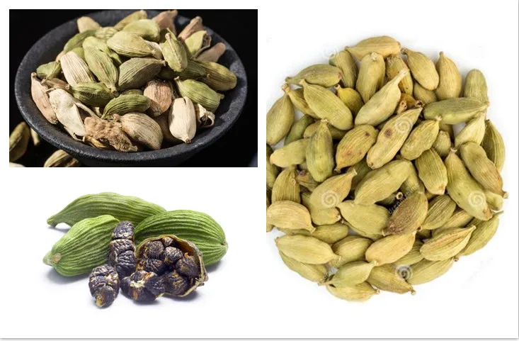 Industrial 50 Kw Nutmeg Seeds Microwave Drying Sterilizing Machine for Fruit Vegetable Processing Industrial 50 Kw Nutmeg Seeds Microwave Drying Sterilizing Machine for Fruit Vegetable Processing