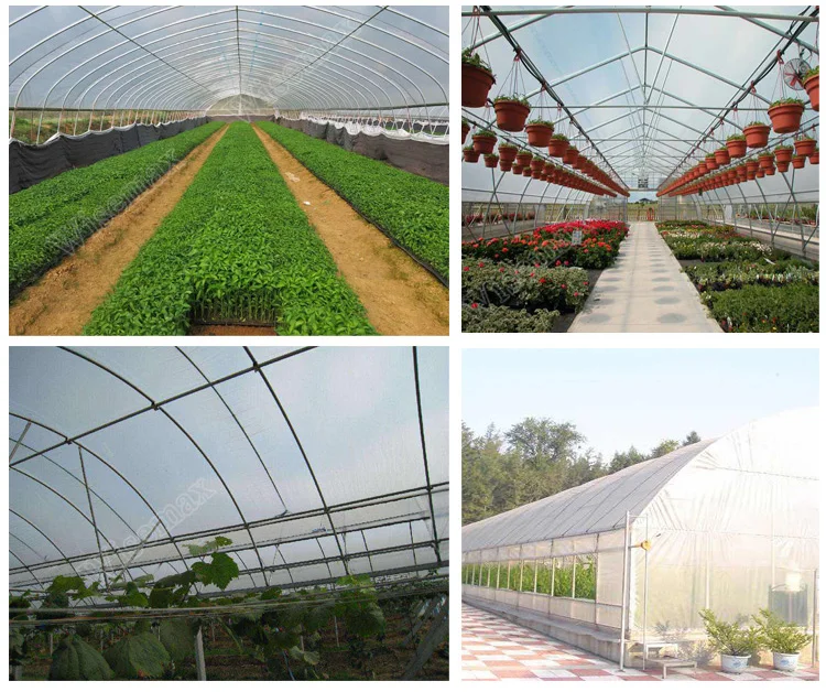 Single Span Agricultural Plastic Film Used Greenhouses Craigslist Buy