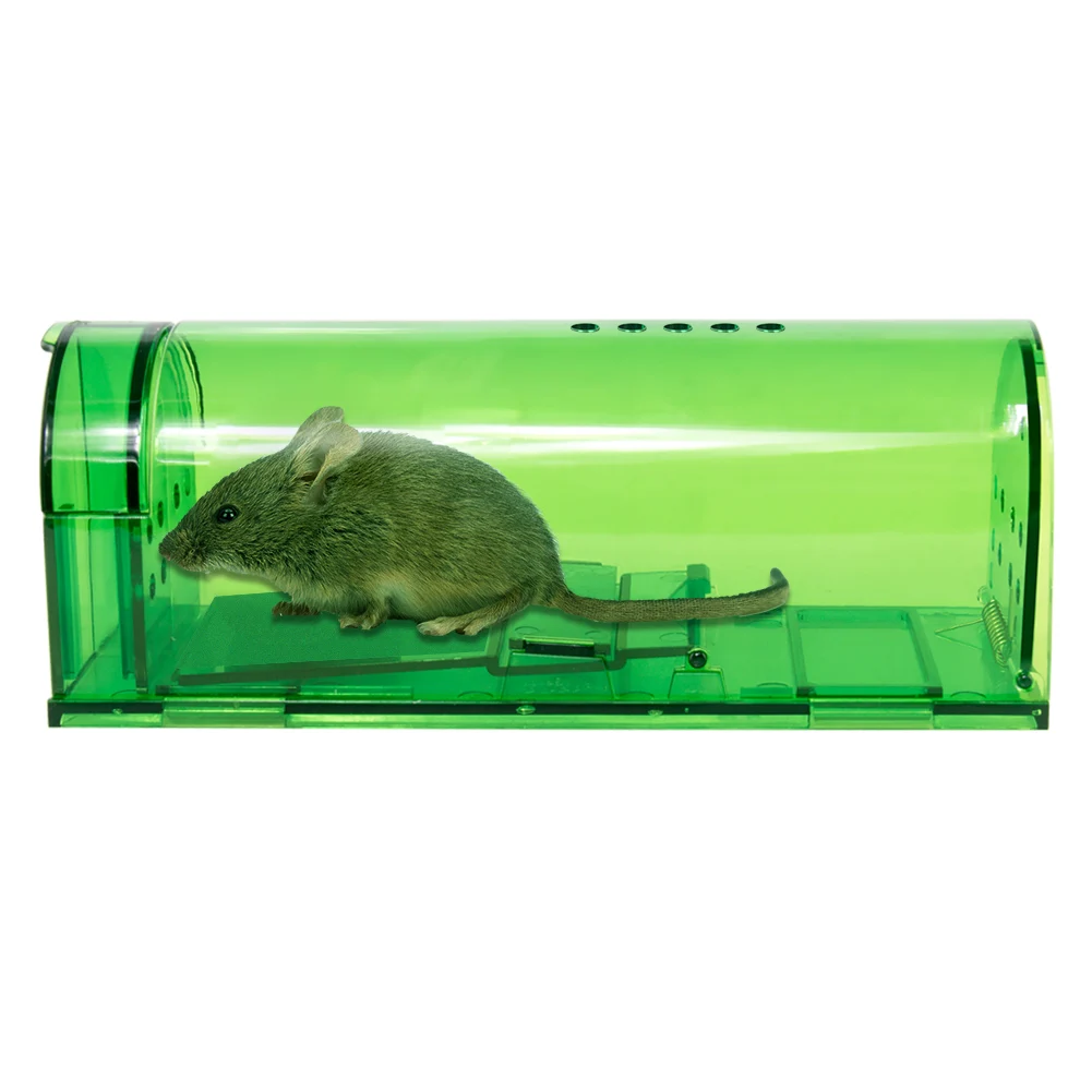 rodent trap box