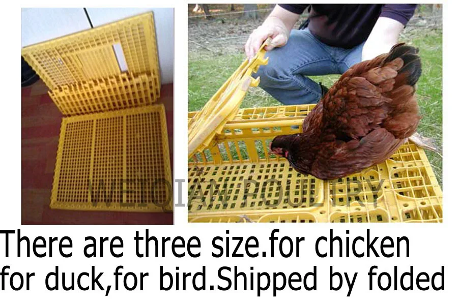 Quality Plastic Chicken Coops For Sale - Buy Chicken Coops For Sale 