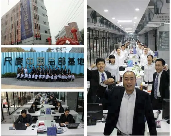 Sillas De Brazo Tapizadas De Tela De Terciopelo Modernas,Muebles De