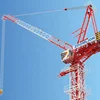 L250-16 ZOOMLION China Heavy Duty Luffing-jib Tower Crane for Sale in Vietnam
