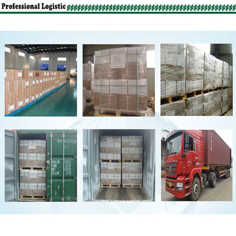 Food grade 99.5% FCC IV Sodium cocoyl glutamate