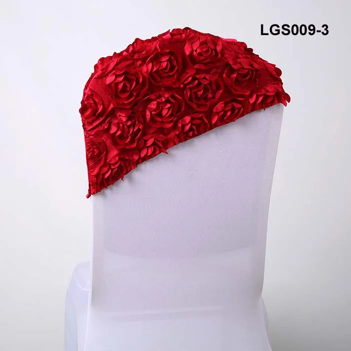 LGS009-3.jpg