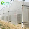Professional orangery pad and fan greenhouse cooling systems winter