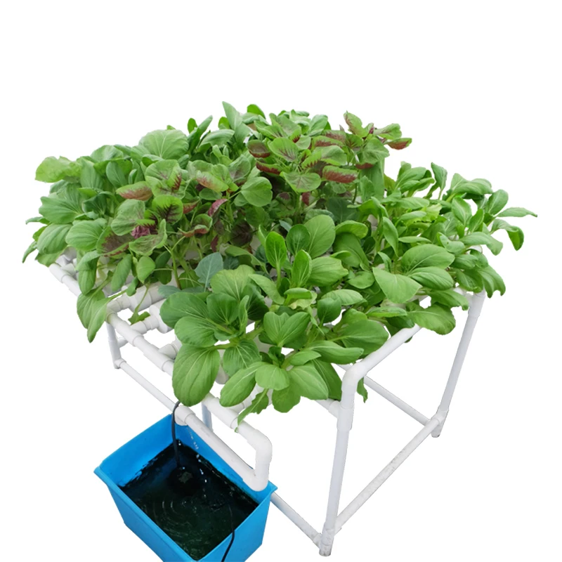 flat hydroponics lit5