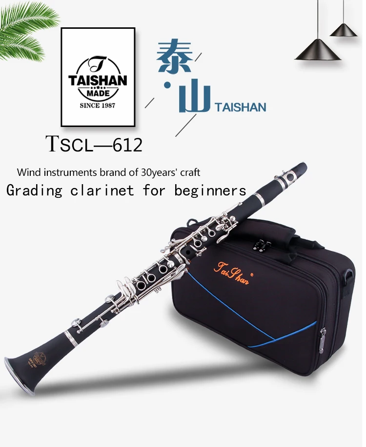 Music Instrument Turkish With Case Buy Music