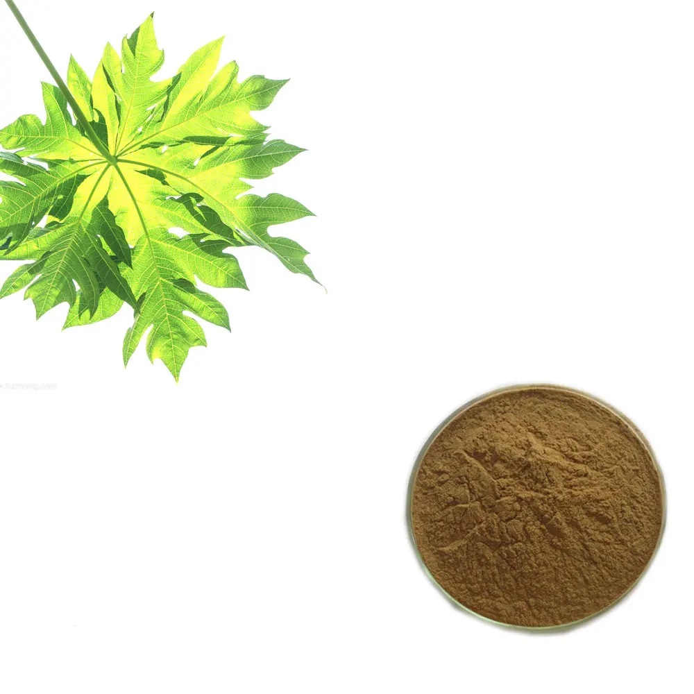 Pure Natural Anti Cancer Papaya Leaf Extract For Health Care Supplement