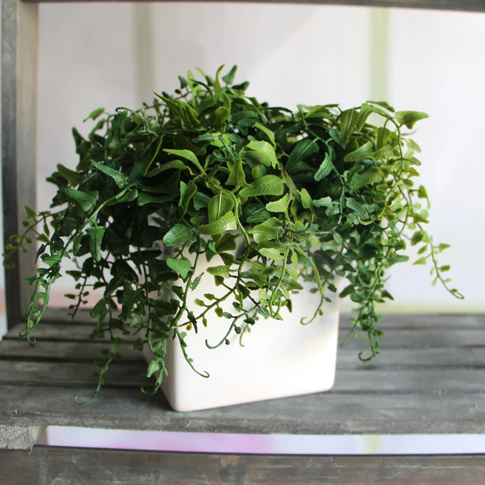 Whole Green Melon Seeds Fern Fake Plant Artificial Green Table Decor Quality Decorative Door Curtains Home Directly From China Plates Suppliers Decription Brand New And