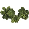 /product-detail/5-inch-artificial-orange-green-aloe-pick-assorted-baby-echeveria-floret-aeonium-hen-and-chick-succulent-plant-60710627862.html
