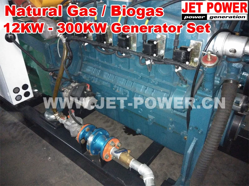 Natural Gas  Biogas Generator Set 12KW to 300KW -005.jpg