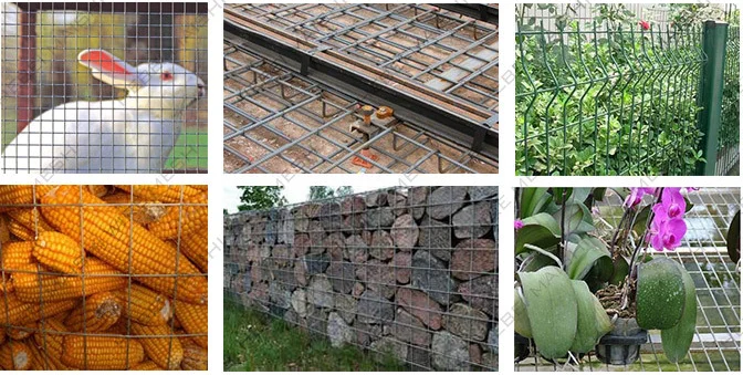 Hot Dipped Galvanized Welded Wire Mesh/ Stainless Steel Welded Wire Mesh