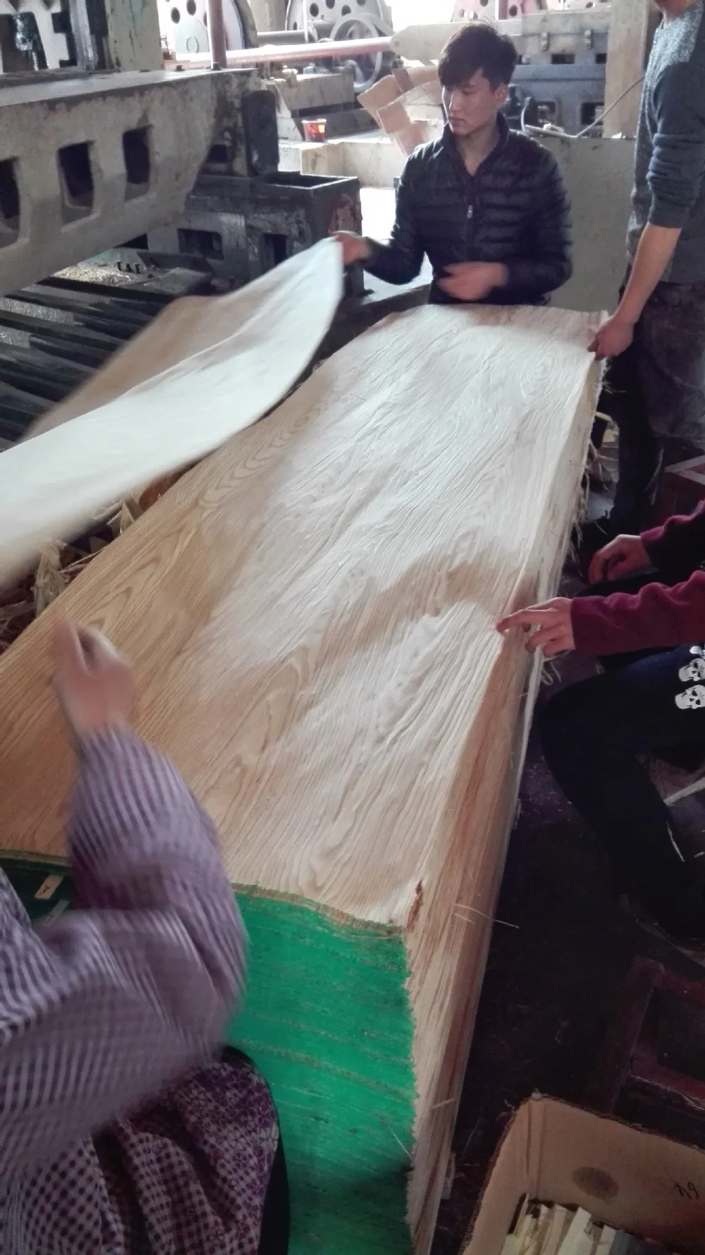 cheap price ash veneer for egypt market