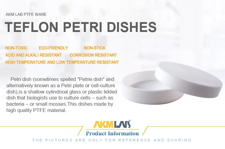 PETRI-DISHES_01.jpg