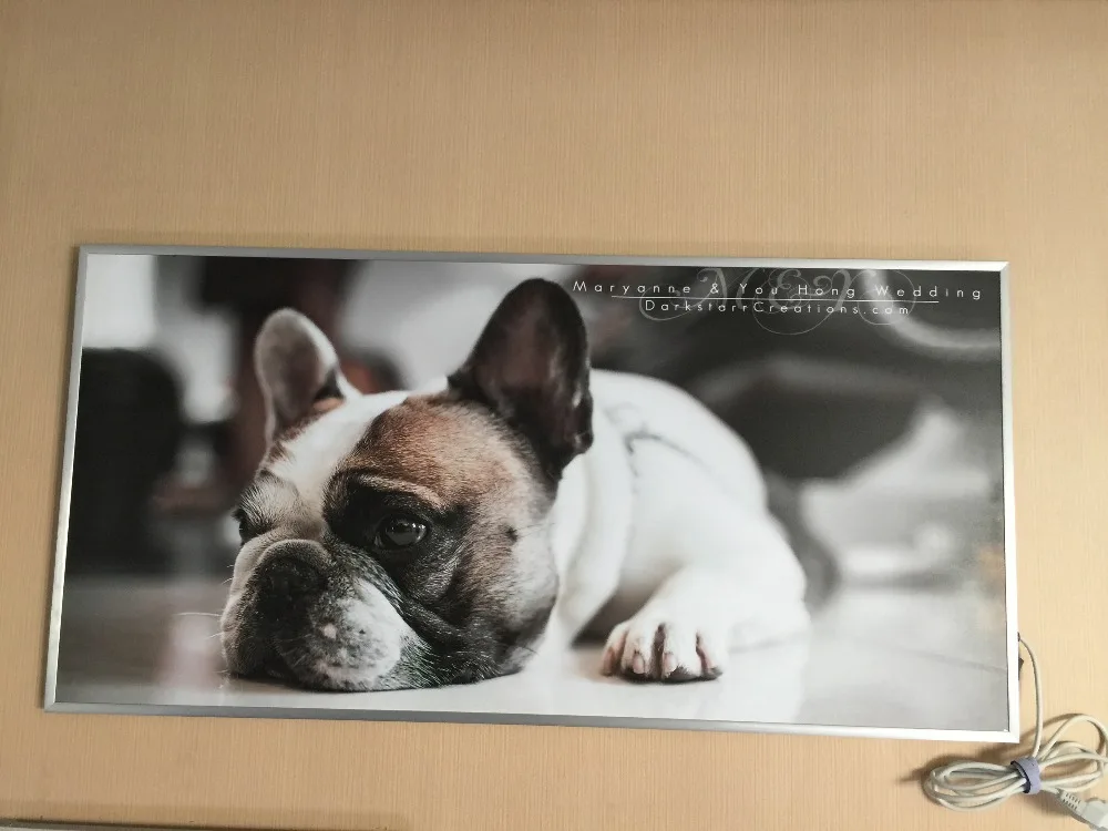 HTB1K6maJXXXXXbdXXXXq6xXFXXXk